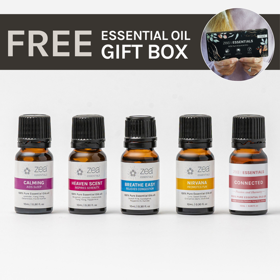 ベストセラーのライフスタイル ブレンド バンドル