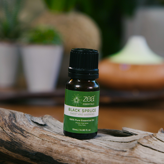 Black Spruce Essential Oil