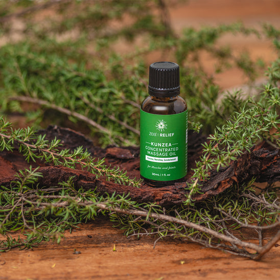 クンゼア 濃縮マッサージオイル