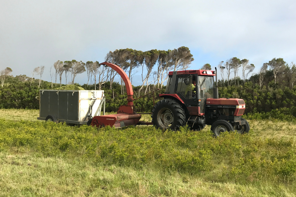 フリンダース島とその成長するエッセンシャル オイル産業を探索する