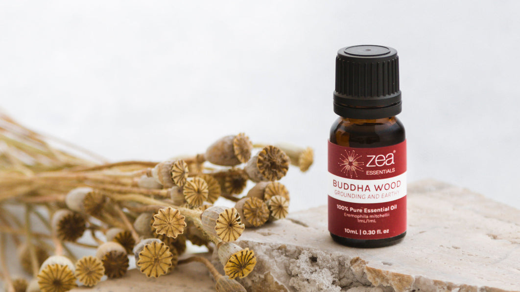 Zea Buddha Wood Essential Oil bottle, an Australian native aromatic oil