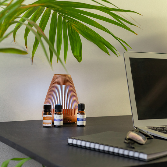 フォーカス &amp; クラリティ エッセンシャル オイル ブレンド トリオ