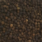 Black Peppercorn (Piper nigrum)
