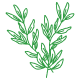 Rosemary Antioxidant Extract